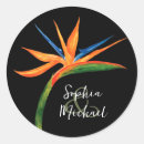 Pesquisar por paraíso adesivos Flores tropicais
