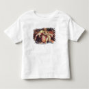 Pesquisar por madonna camisetas Sebastiano