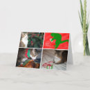 Pesquisar por natal meowy cartoes postais Gato