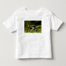 Pesquisar por anura camisetas Anfíbio