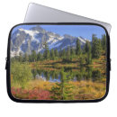 Pesquisar por mt capas Floresta