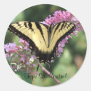 Pesquisar por borboleta do tigre adesivos Animais