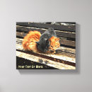 Pesquisar por gato impressão de canvas Fofofo