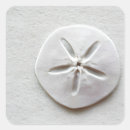 Pesquisar por sandy adesivos Areia