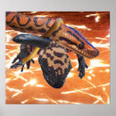 Pesquisar por répteis pôsteres Gila