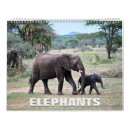 Pesquisar por elefante calendarios Natureza