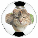 Pesquisar por gatos bola futebol Animal
