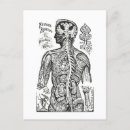 Pesquisar por anatomia humana cartoes postais Colheita