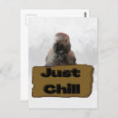 Pesquisar por animais africanos cartoes postais Qualquer pessoa