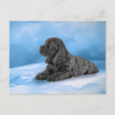 Pesquisar por inglês cocker spaniel cartoes postais Raça