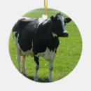 Pesquisar por pasta ornamentos Vacas