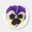 Pesquisar por amor perfeito roxo Amarelo