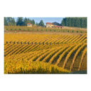 Pesquisar por pinot noir pôsteres Agricultura
