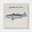 Pesquisar por água salgada imas Tropicais