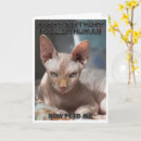 Pesquisar por imprimir cartoes Gato