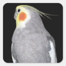 Pesquisar por masculino artesanato material Qualquer pessoa