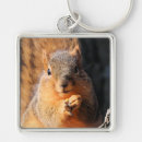 Pesquisar por lanche chaveiros Fotografia