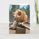 Pesquisar por lince cartoes Natureza