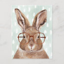 Pesquisar por animal do cartoes postais Coelho