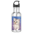 Pesquisar por gatinho gato garrafa agua Bonito