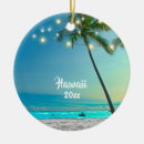 Pesquisar por havaianos ornamentos De natal