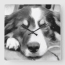 Pesquisar por border collie relogios de parede Reunindo o cão