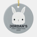 Pesquisar por coelho ornamentos Feriado