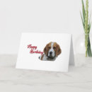 Pesquisar por beagle cartoes Amor