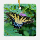 Pesquisar por andorinhas ornamentos Inseto