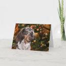 Pesquisar por weiner dog cartoes Xmas