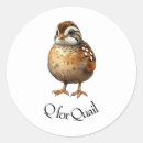 Pesquisar por quail adesivos Codorna
