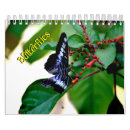 Pesquisar por borboleta calendarios Natureza