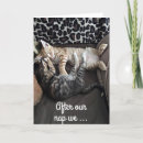 Pesquisar por dois gatos cartoes Fotografia
