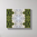 Pesquisar por musgo impressão de canvas Natureza