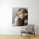 Pesquisar por parede do gato For kids