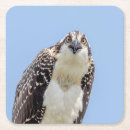 Pesquisar por juvenil porta copos Aves