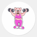 Pesquisar por o bodybuilding adesivos Malhação
