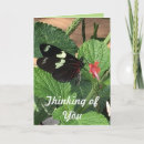 Pesquisar por fotos da borboleta cartoes Jardim