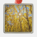 Pesquisar por sierra ornamentos Montanha