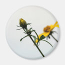 Pesquisar por segredo imas Jardim