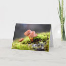 Pesquisar por plantas papelaria cartoes Musgo