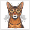 Pesquisar por cabeça gato adesivos Retrato