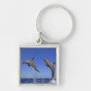 Pesquisar por bruto chaveiros Animais