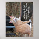 Pesquisar por tabu pósteres pôsteres Qualquer pessoa