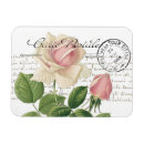 Pesquisar por rose imas Floral