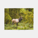 Pesquisar por olimpiadas mantas Galhardetes