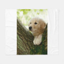 Pesquisar por labrador retriever mantas Animais