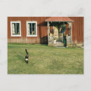 Pesquisar por animais domésticos cartoes postais Casa