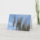 Pesquisar por plumas cartoes Costa