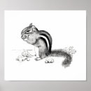 Pesquisar por desenhos loucos pôsteres Animais